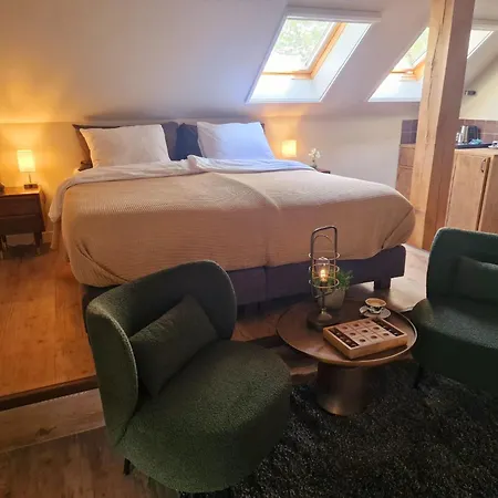 De Pingerhoeve 3* Nuth