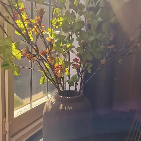 호텔 De Pingerhoeve 3*