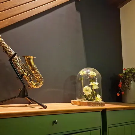 De Pingerhoeve 3* Nuth