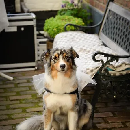 De Pingerhoeve 호텔 Nuth