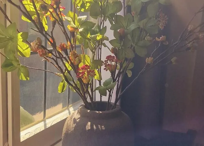 酒店 De Pingerhoeve 3*