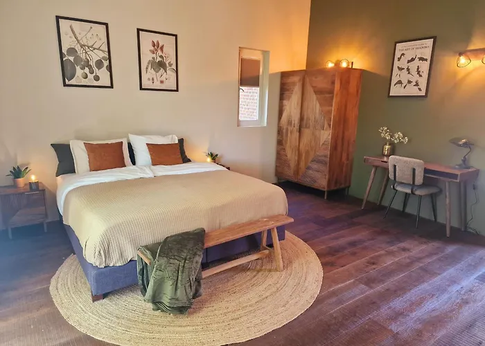 酒店 De Pingerhoeve 3*