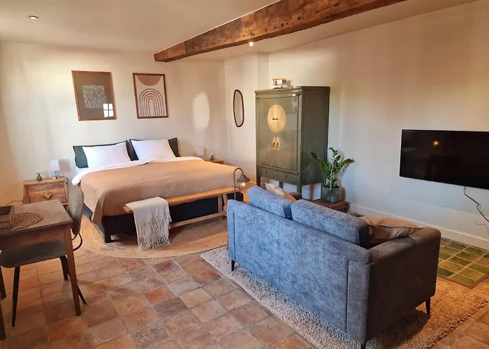 ホテル De Pingerhoeve 3*