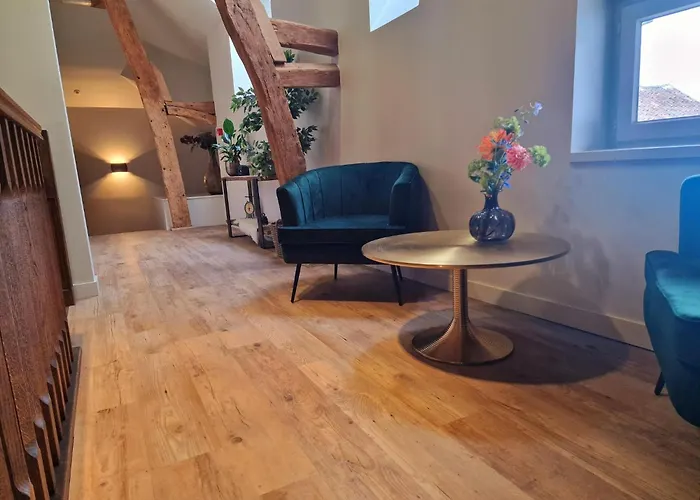 酒店 De Pingerhoeve 3*