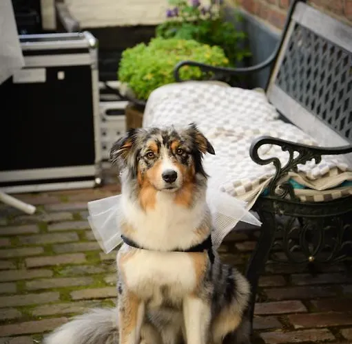 De Pingerhoeve ホテル Nuth