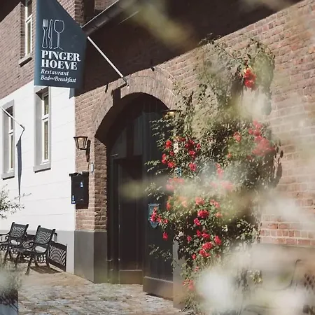 De Pingerhoeve Отель 3*