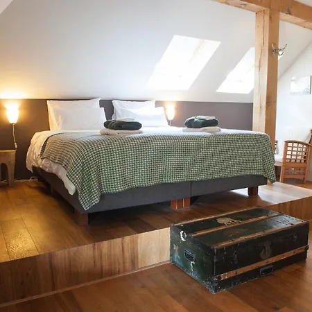 Отель De Pingerhoeve 3*